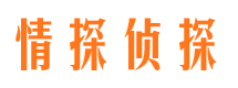 宜章市侦探公司